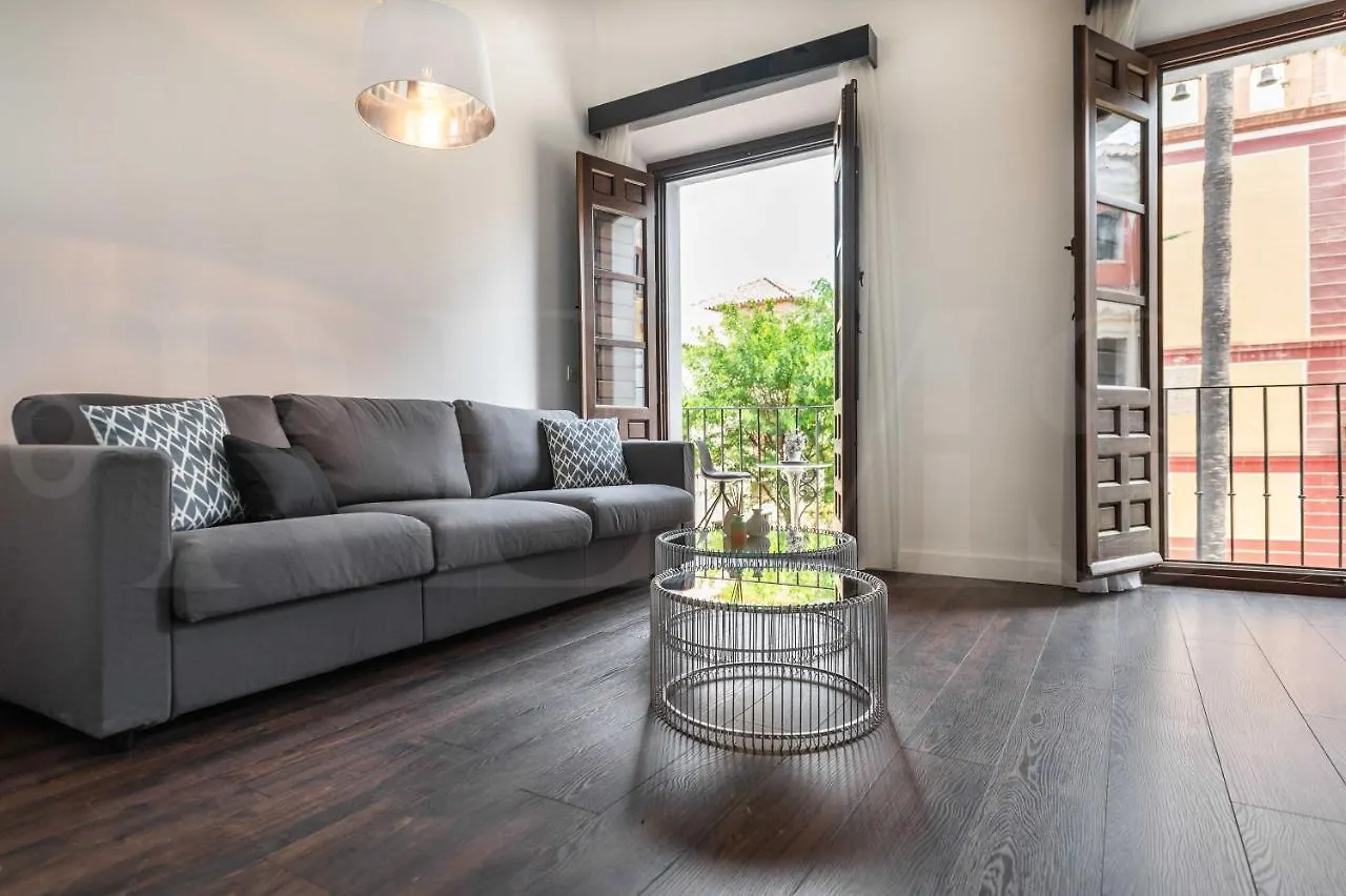 Apartment Spacious Duplex With Terrace By Picasso Museum By Rems Malaga